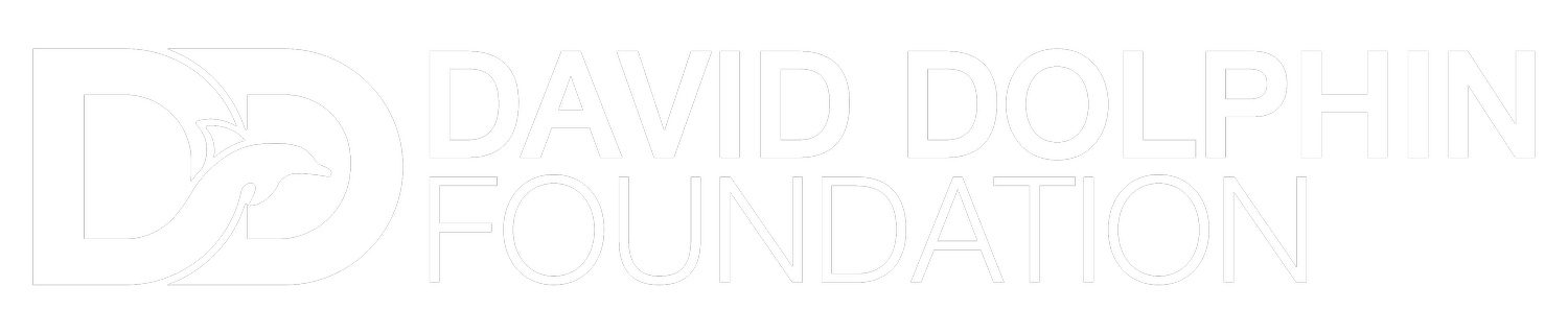David Dolphin Foundation
